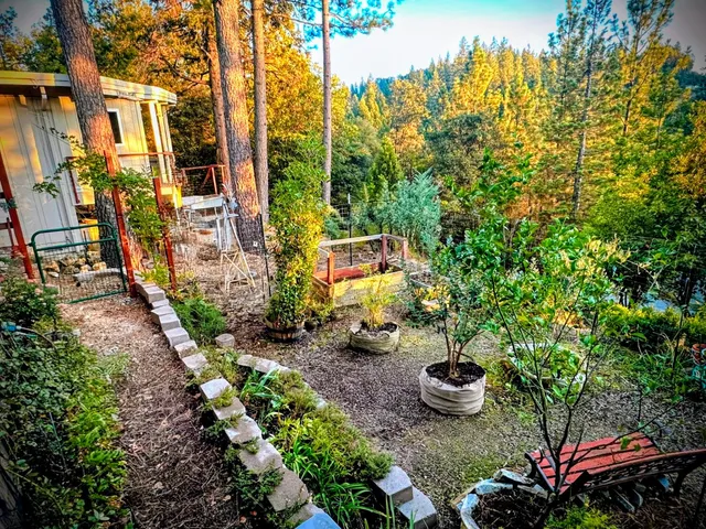 $2,950 | 820 Blue Bell Court, Placerville, CA 95667