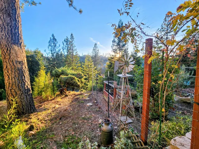 $2,950 | 820 Blue Bell Court, Placerville, CA 95667