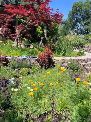 $2,950 | 820 Blue Bell Court, Placerville, CA 95667