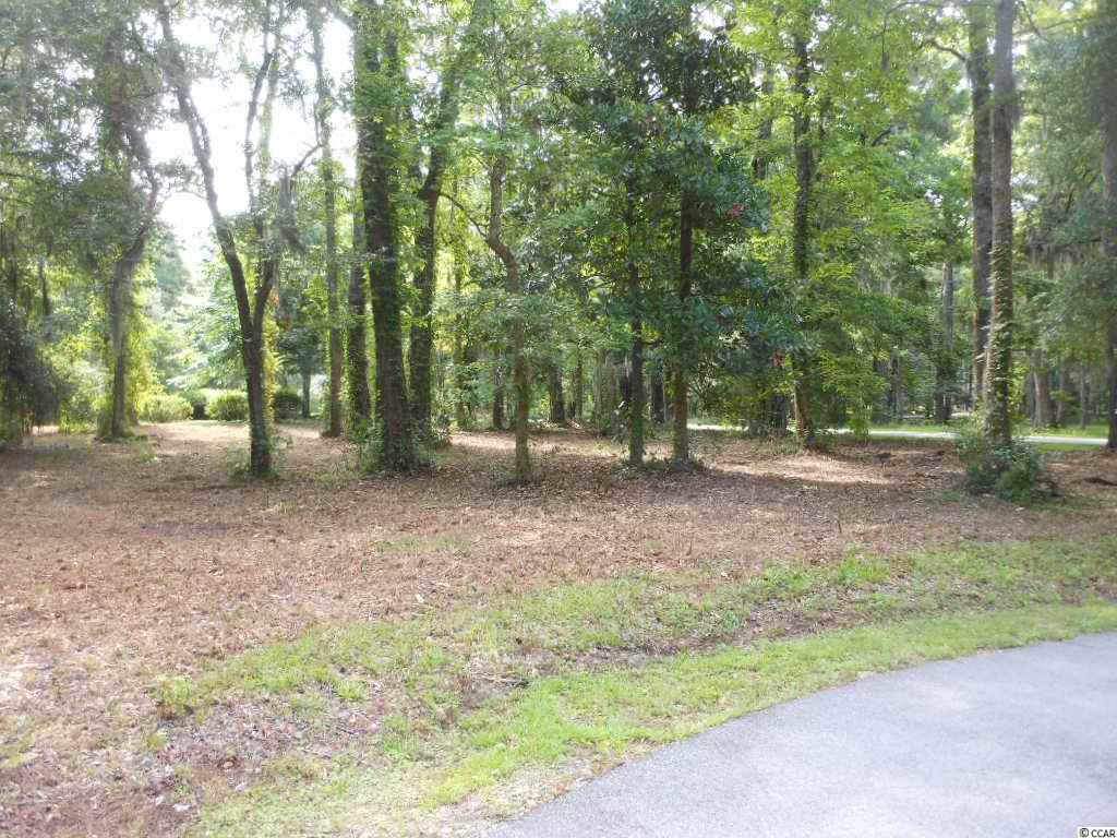 Lot 23 Tuckers Road Pawleys Island, SC 29585 - Photo 1 of 22 Gallery Image 1