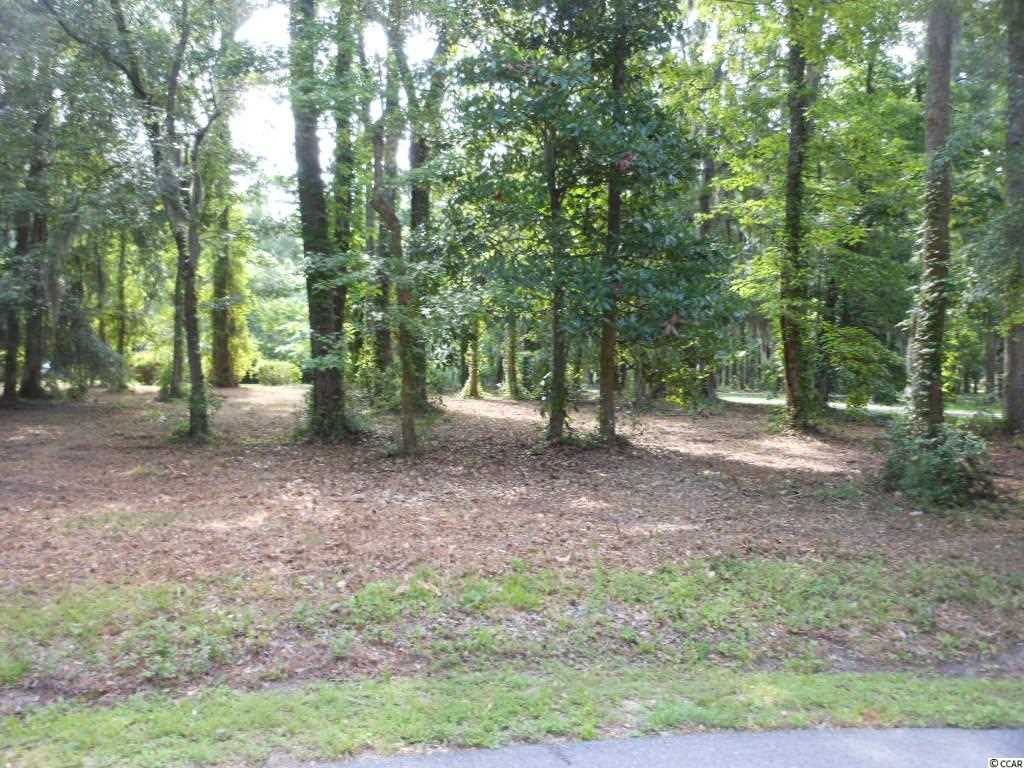 Lot 23 Tuckers Road Pawleys Island, SC 29585 - Photo 2 of 22 Gallery Image 2