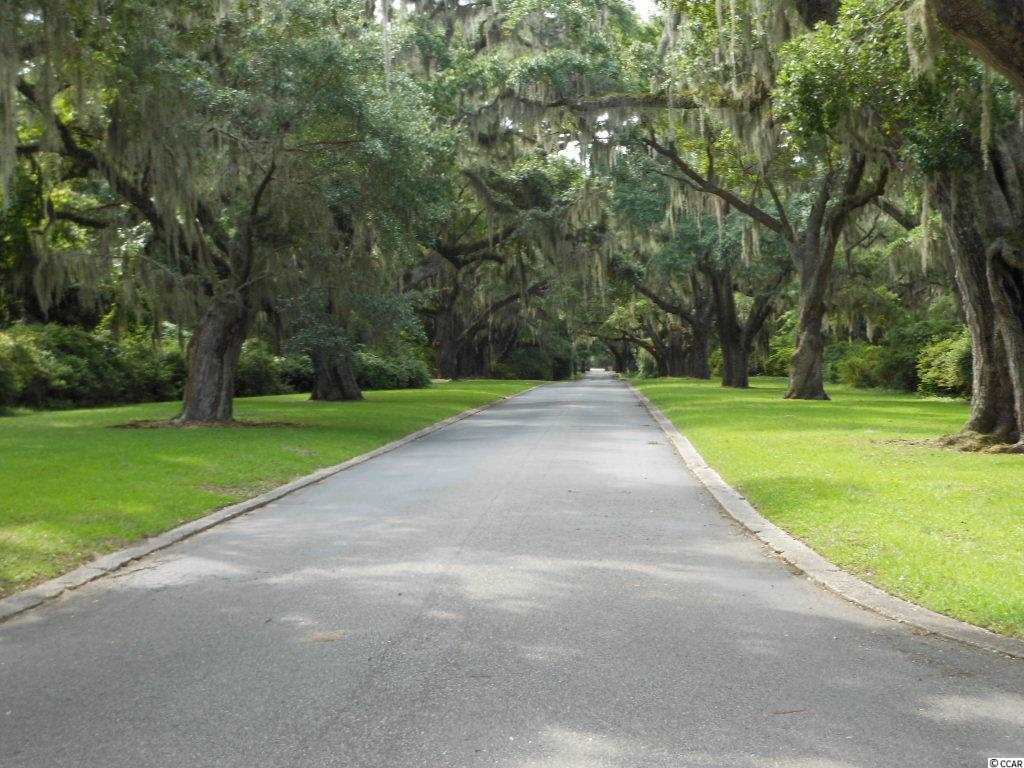 Lot 23 Tuckers Road Pawleys Island, SC 29585 - Photo 16 of 22 Gallery Image 16
