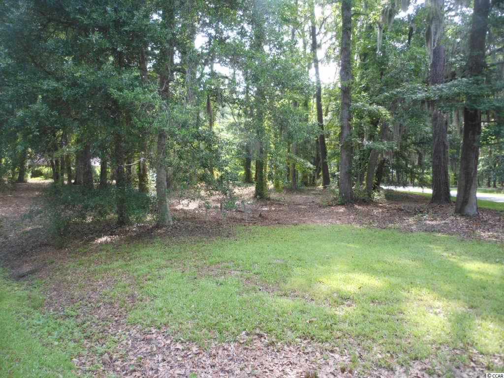 Lot 23 Tuckers Road Pawleys Island, SC 29585 - Photo 3 of 22 Gallery Image 3