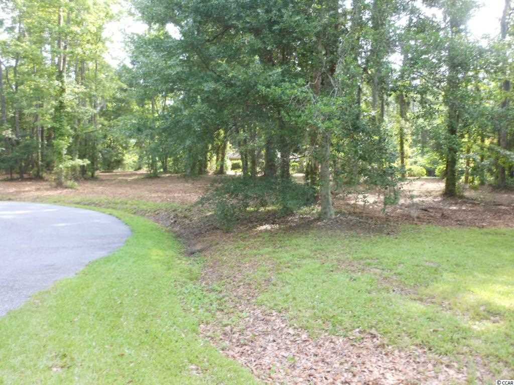 Lot 23 Tuckers Road Pawleys Island, SC 29585 - Photo 4 of 22 Gallery Image 4