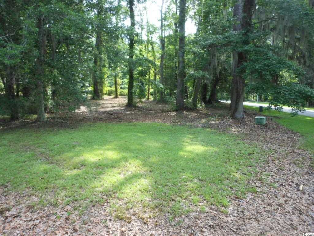 Lot 23 Tuckers Road Pawleys Island, SC 29585 - Photo 5 of 22 Gallery Image 5