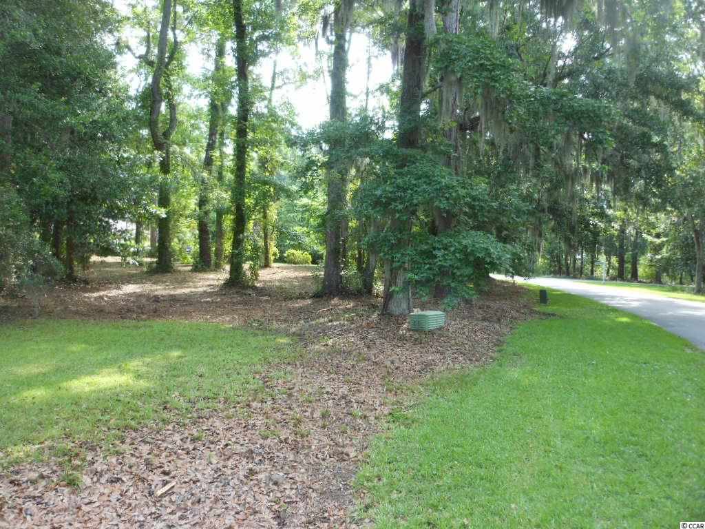 Lot 23 Tuckers Road Pawleys Island, SC 29585 - Photo 6 of 22 Gallery Image 6