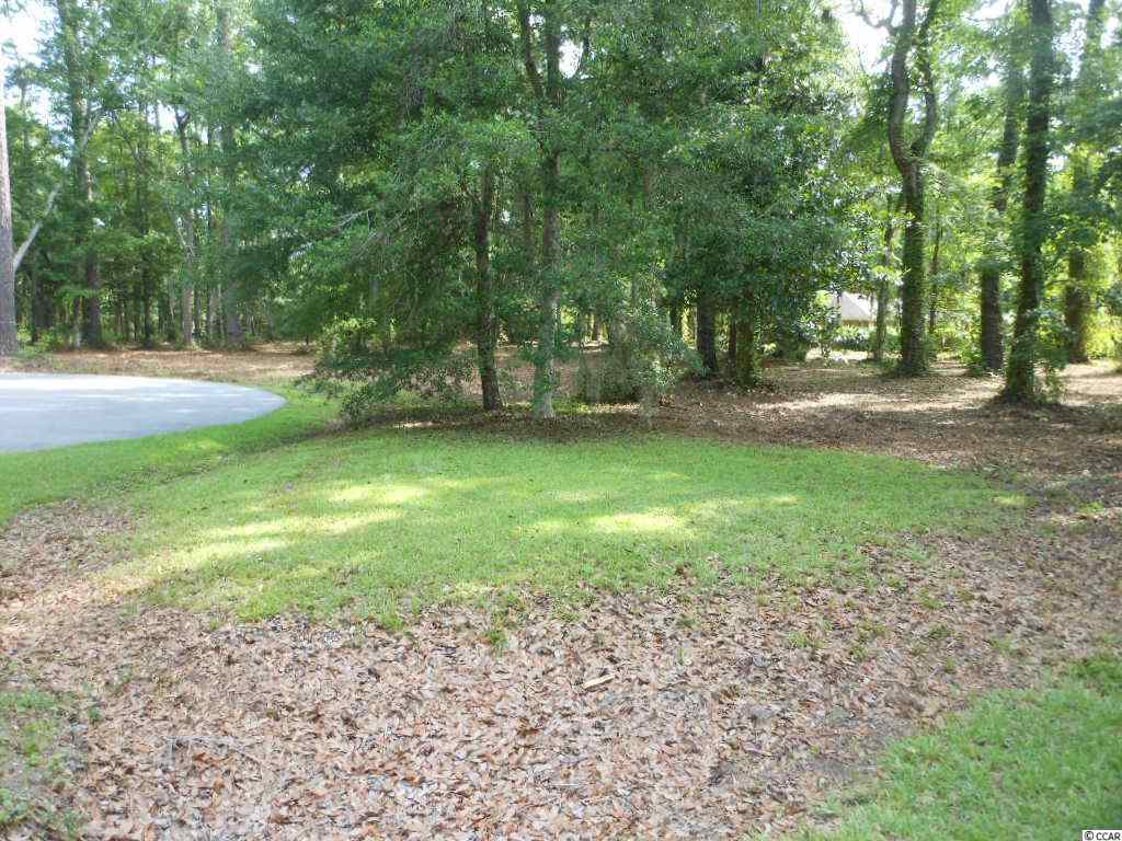 Lot 23 Tuckers Road Pawleys Island, SC 29585 - Photo 7 of 22 Gallery Image 7