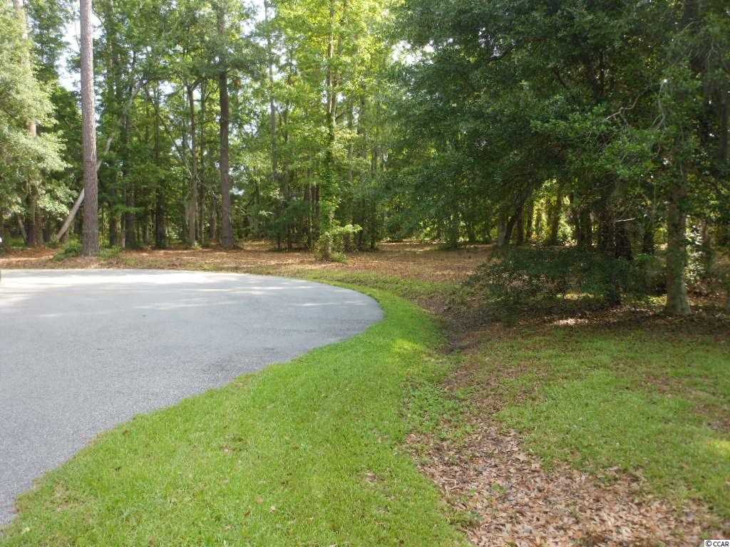 Lot 23 Tuckers Road Pawleys Island, SC 29585 - Photo 8 of 22 Gallery Image 8