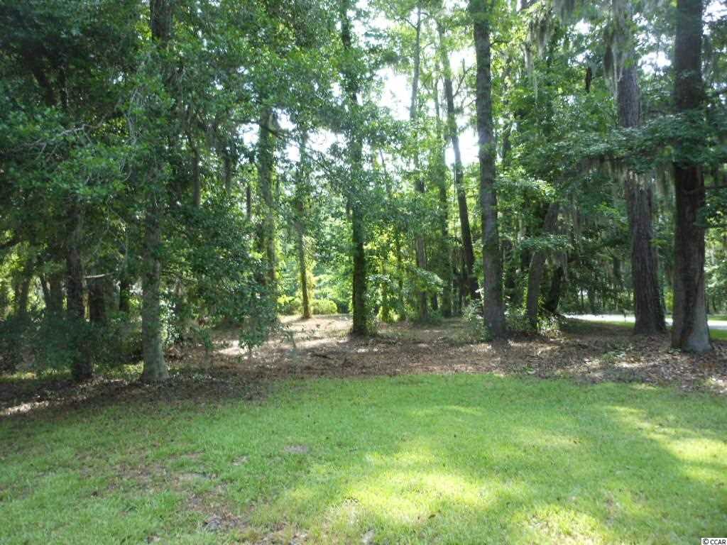 Lot 23 Tuckers Road Pawleys Island, SC 29585 - Photo 9 of 22 Gallery Image 9