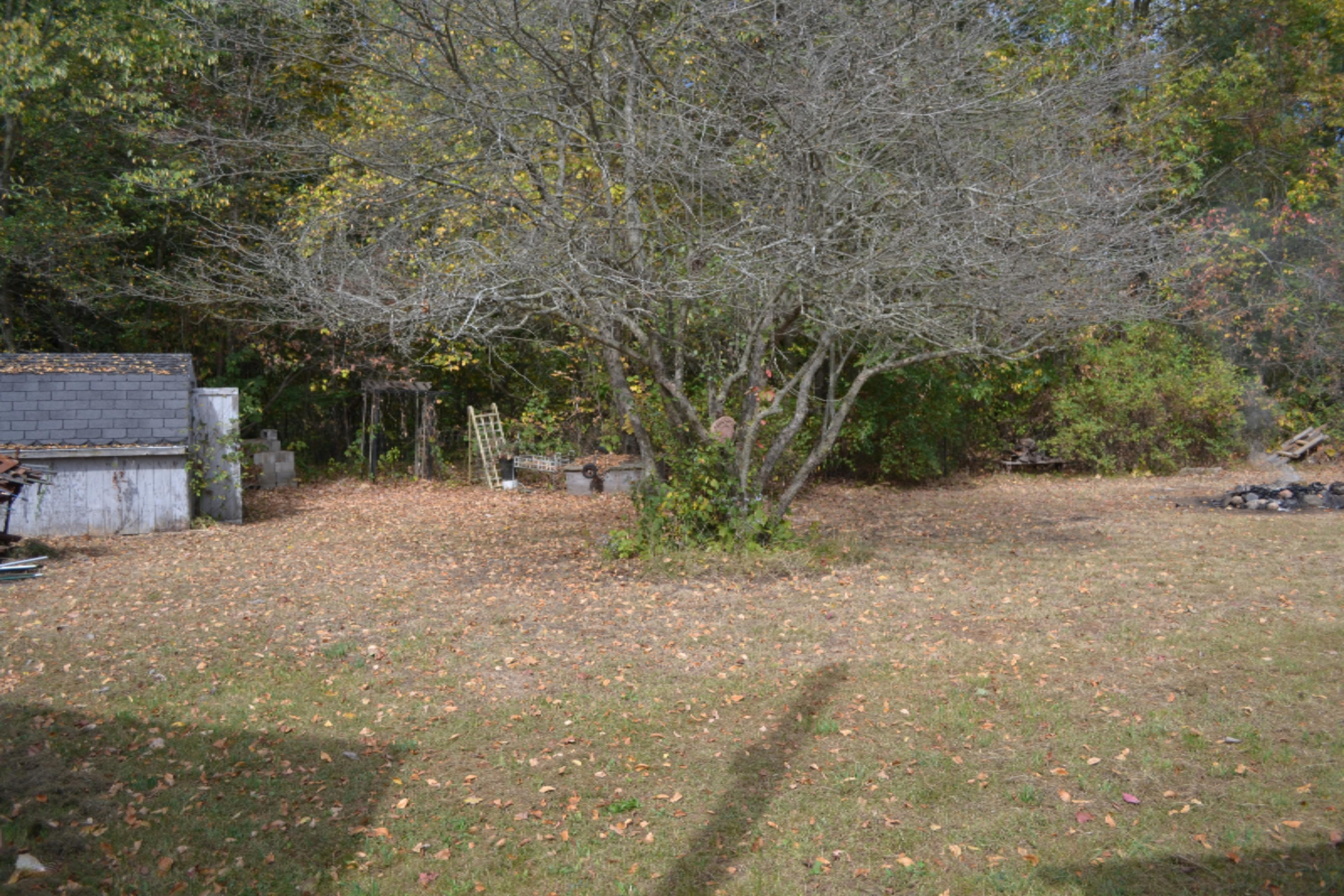 280 North Behler Road Ravenna, MI 49451 - Photo 11 of 47 DSC_0068