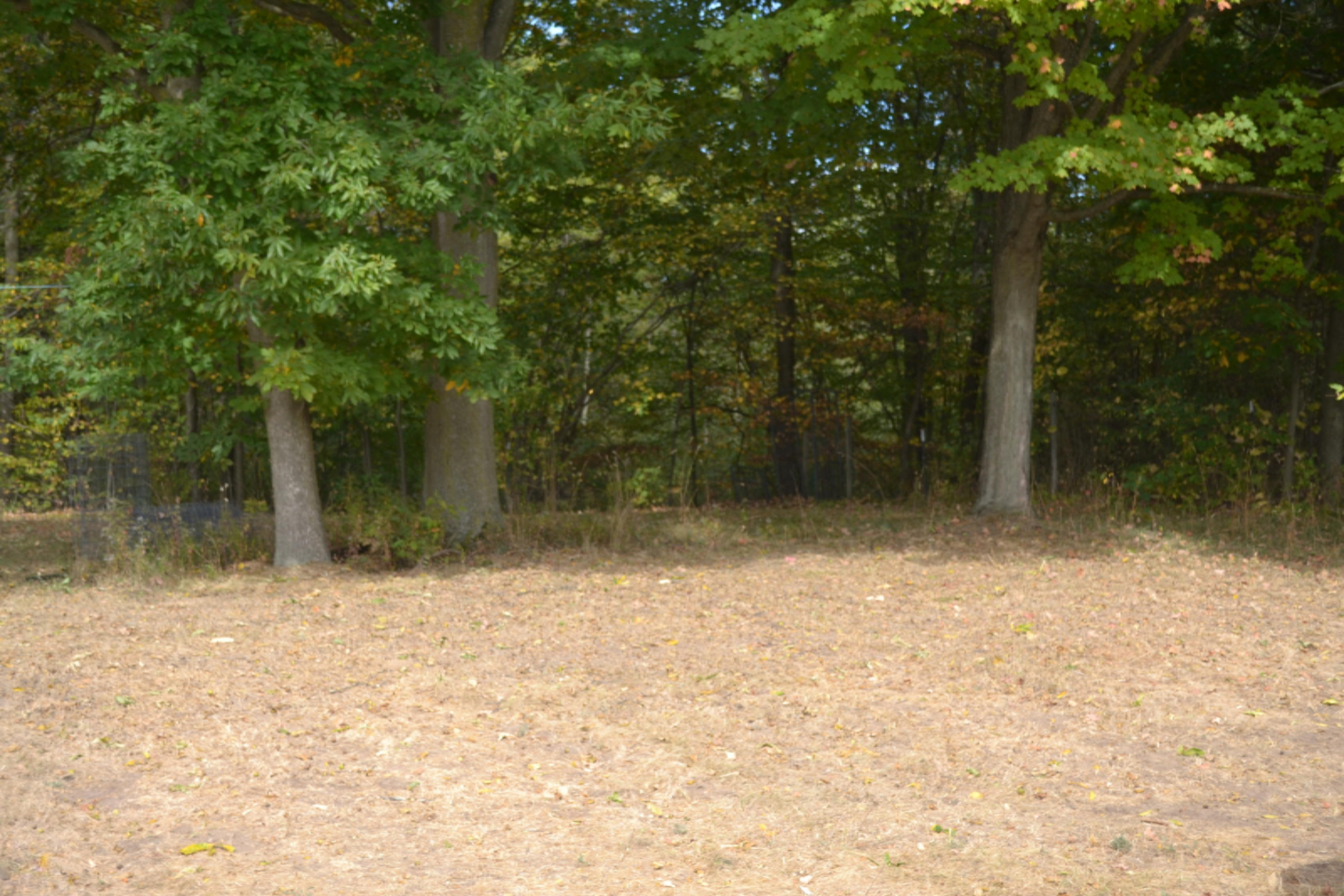 280 North Behler Road Ravenna, MI 49451 - Photo 8 of 47 DSC_0073