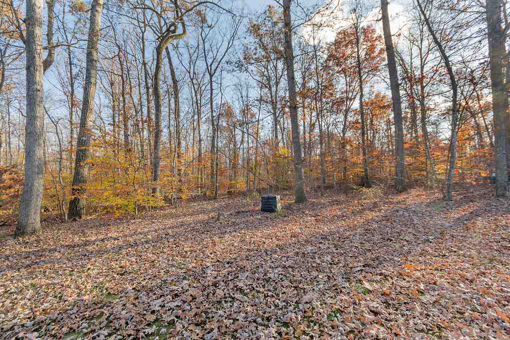 1554 Loving Road Zion Crossroads, VA 22942 - Photo 3 of 23 Perfect for bird watching from the front porch.