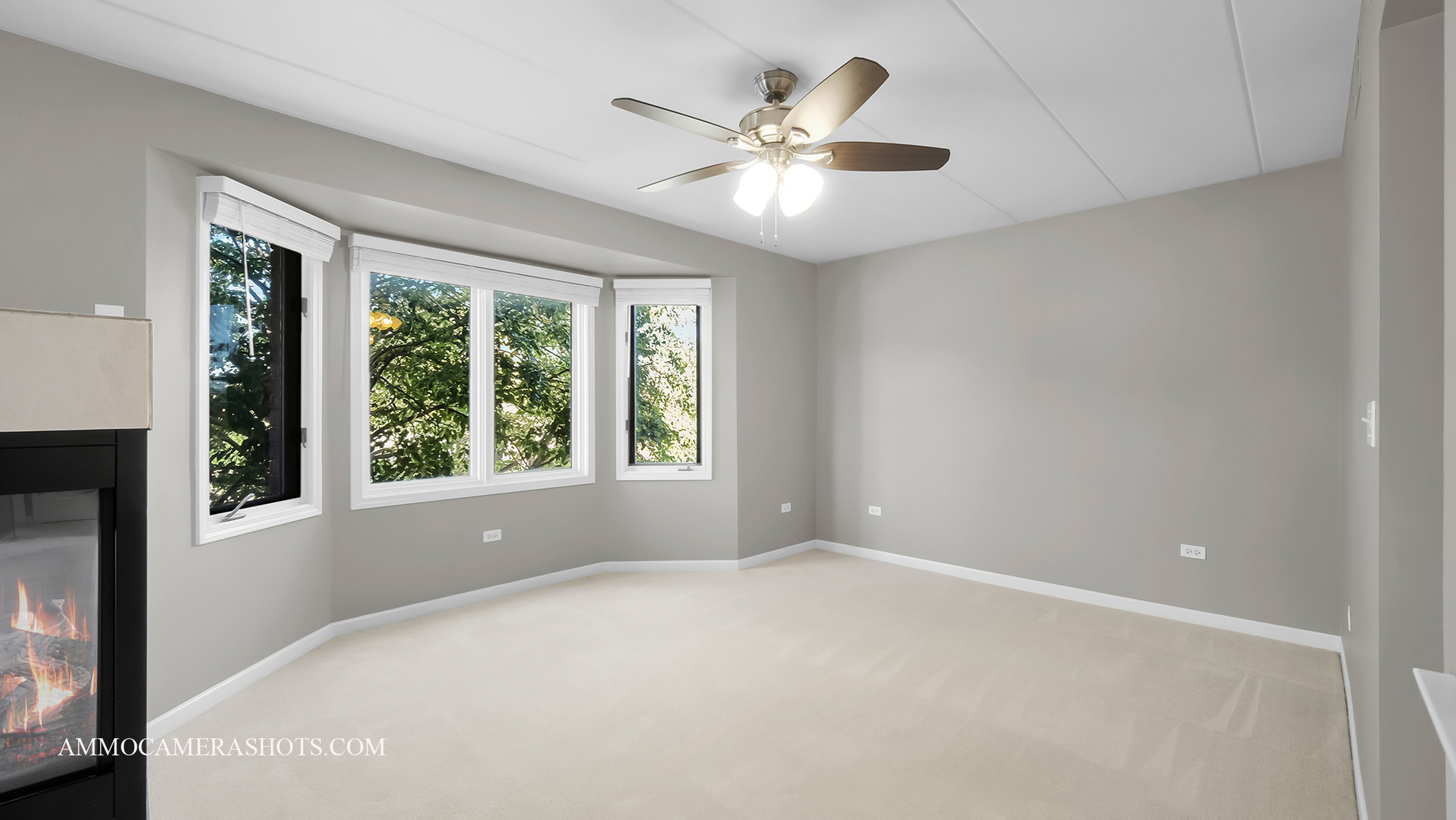 1204 Chalet Road, Unit 202 Naperville, IL 60563 - Photo 11 of 23 Gallery Image 11