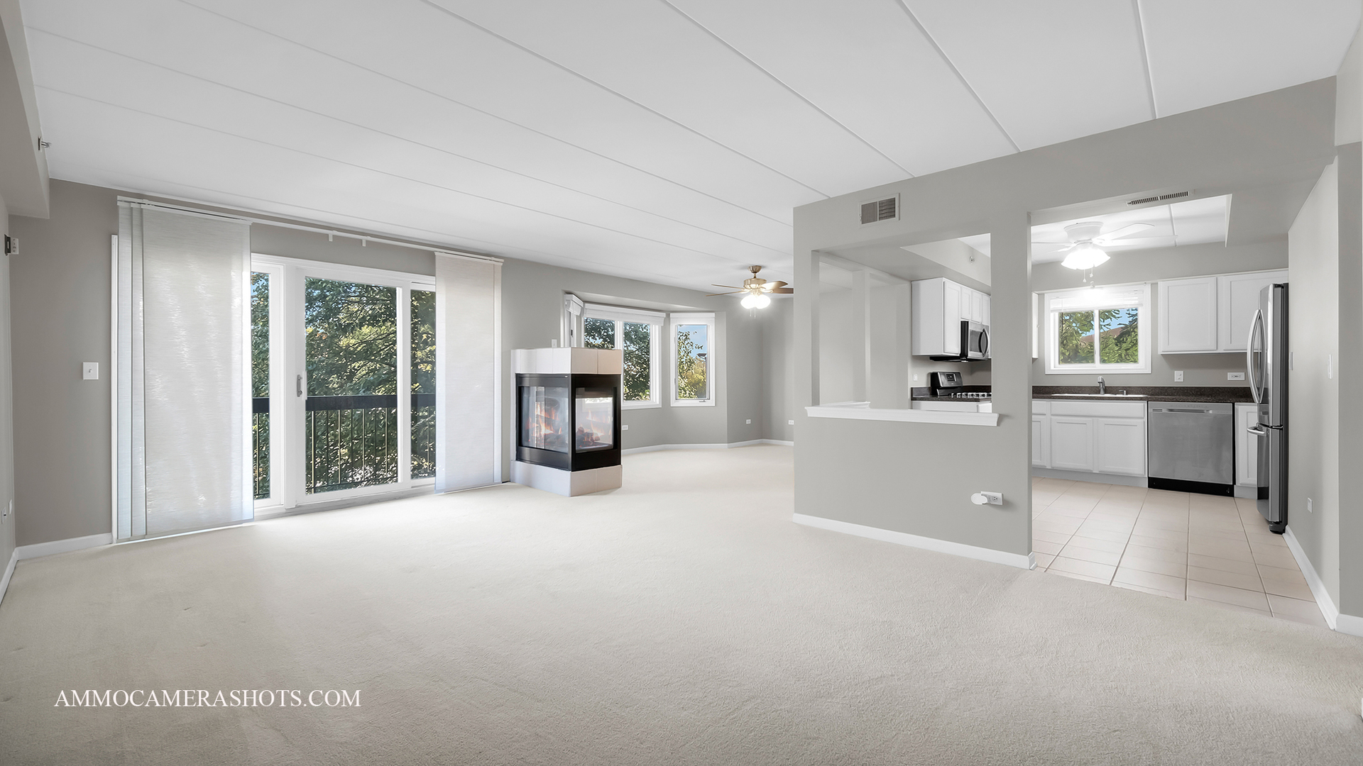 1204 Chalet Road, Unit 202 Naperville, IL 60563 - Photo 6 of 23 Gallery Image 6