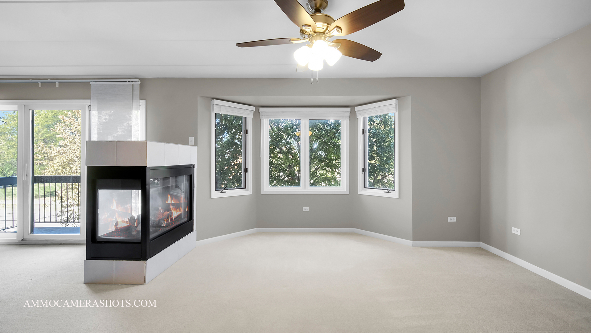 1204 Chalet Road, Unit 202 Naperville, IL 60563 - Photo 10 of 23 Gallery Image 10