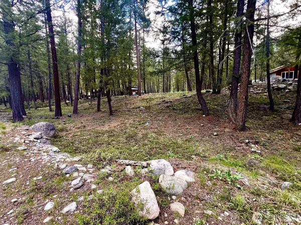 $98,000 | 35 Emerson Road, Mazama, WA 98833