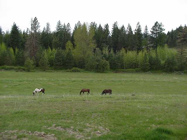 4675 Ranch Road Deer Park, WA 99006 - Photo 4 of 9