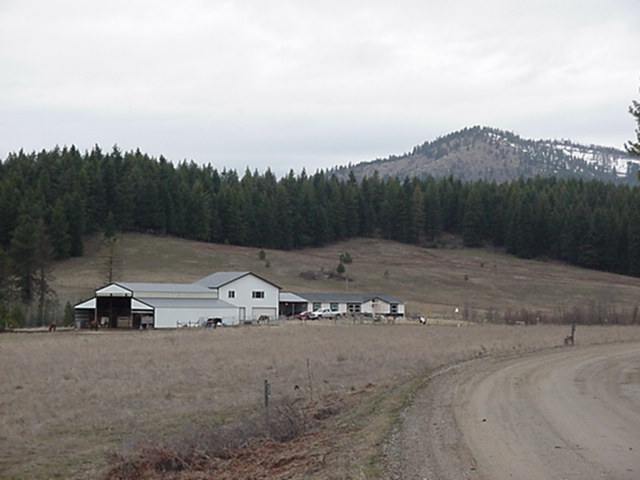 4675 Ranch Road Deer Park, WA 99006 - Photo 9 of 9