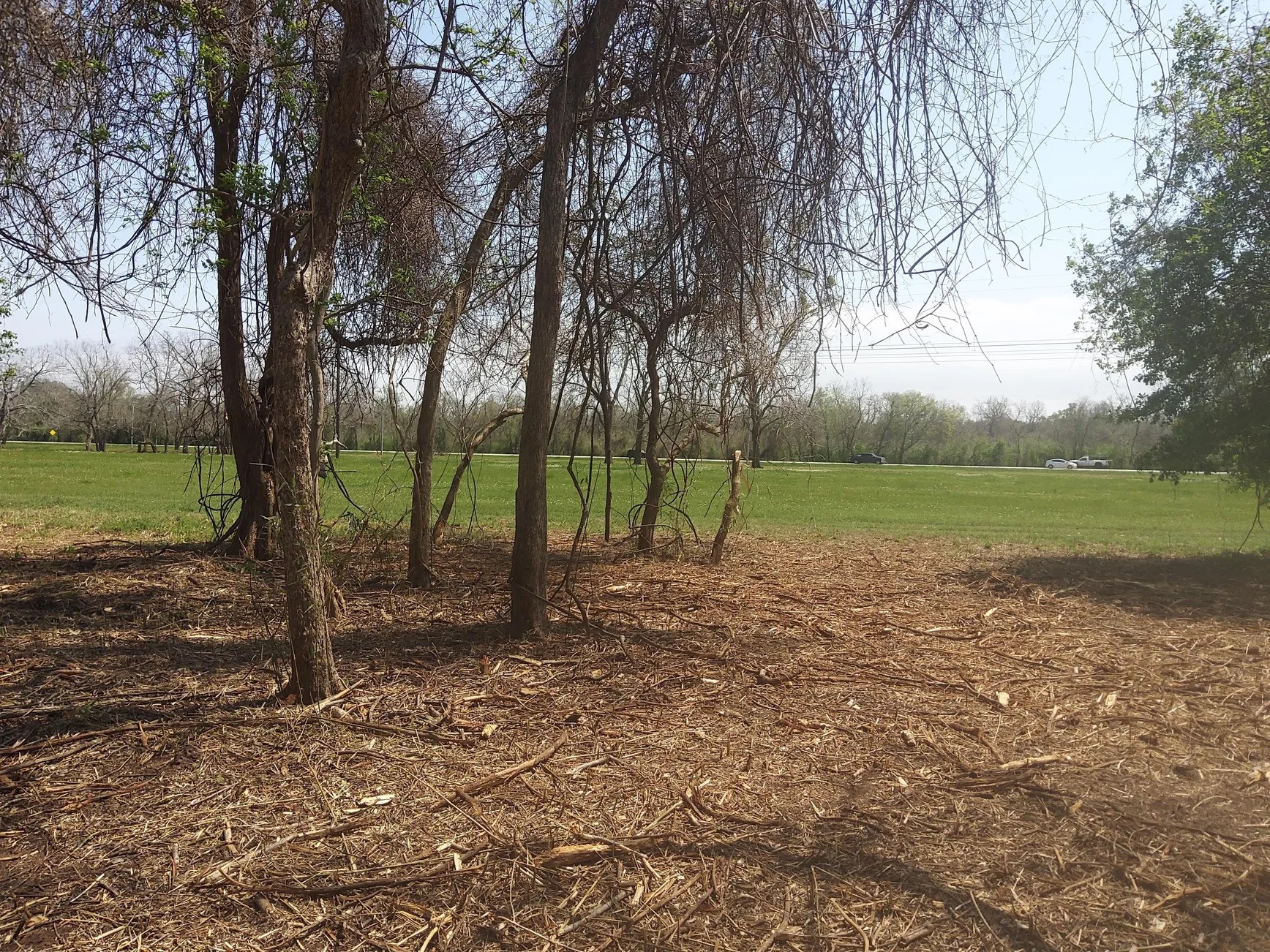 Lot 2 Fm 521 Angleton, TX 77515 - Photo 20 of 26
