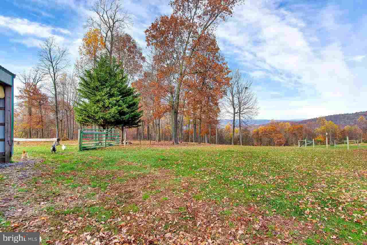 6002 Crone Road Dover, PA 17315 - Photo 27 of 36