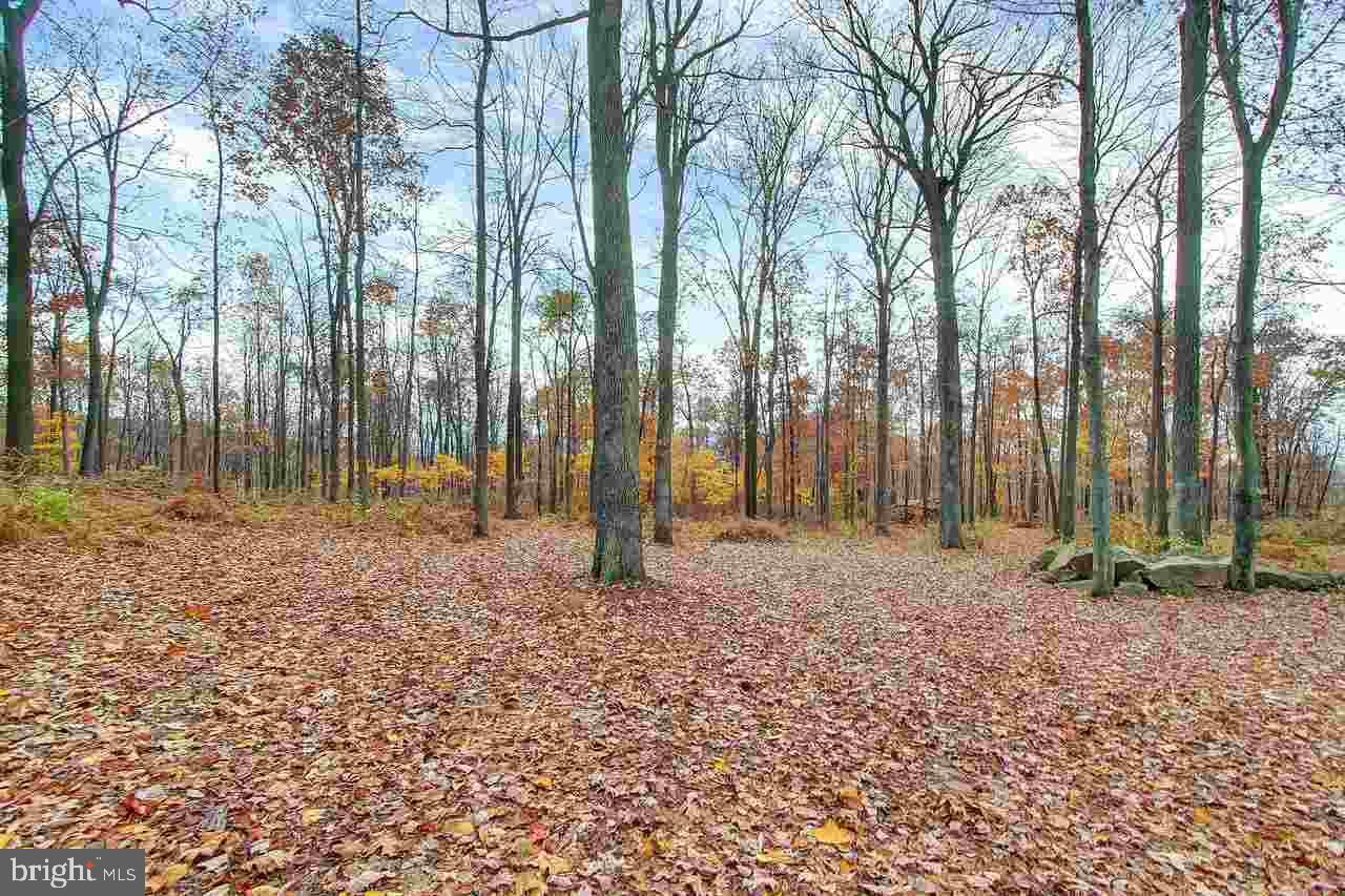 6002 Crone Road Dover, PA 17315 - Photo 31 of 36
