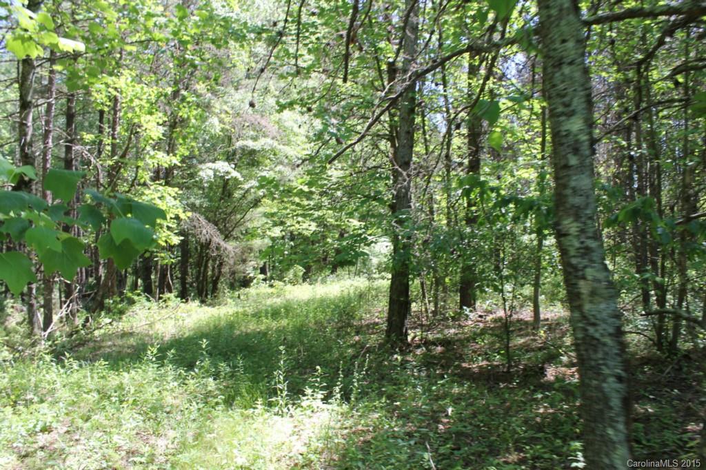106.542-ac Grassy Knob Road Union Grove, NC 28689 - Photo 14 of 24 Gallery Image 14