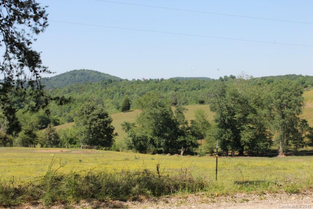 106.542-ac Grassy Knob Road Union Grove, NC 28689 - Photo 22 of 24 Gallery Image 22