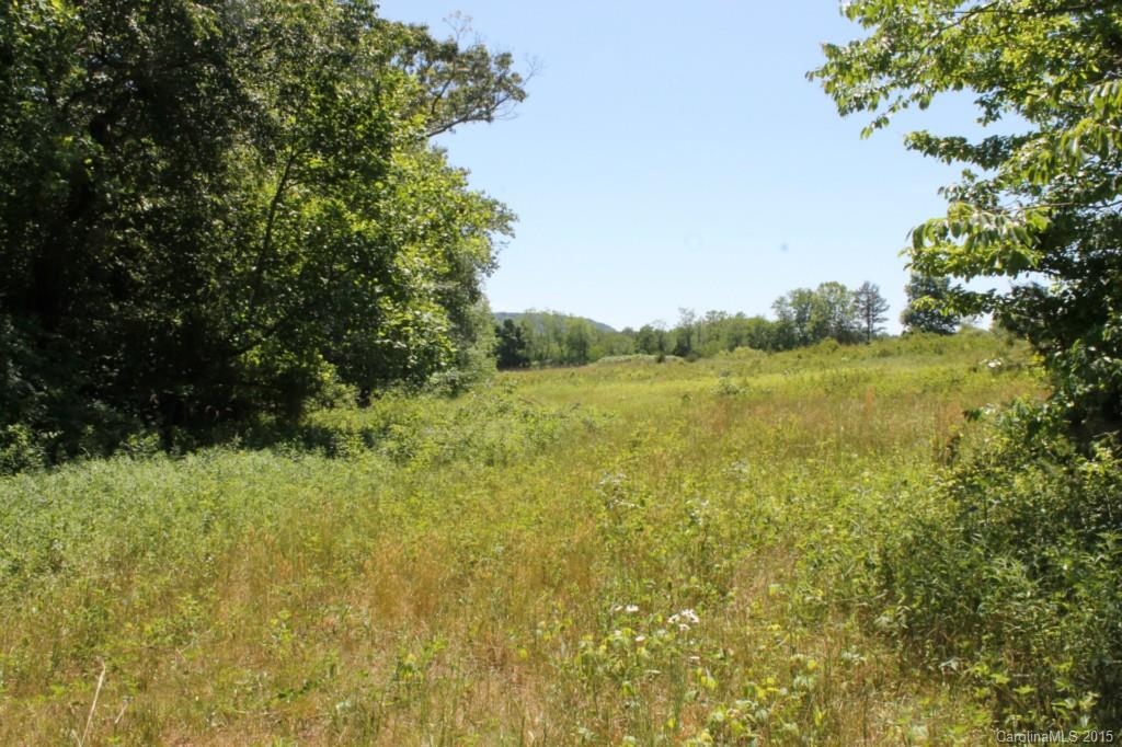 106.542-ac Grassy Knob Road Union Grove, NC 28689 - Photo 8 of 24 Gallery Image 8