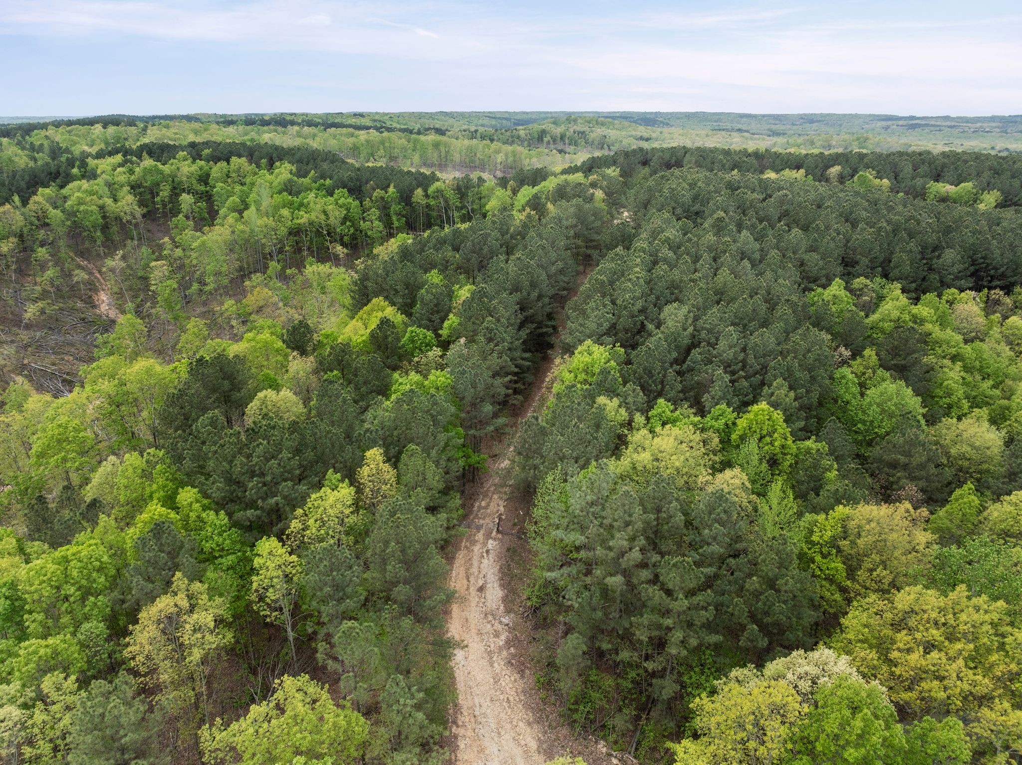 0 Sandys Camp Road Big Sandy, TN 38221 - Photo 53 of 59 an aerial view of forest
