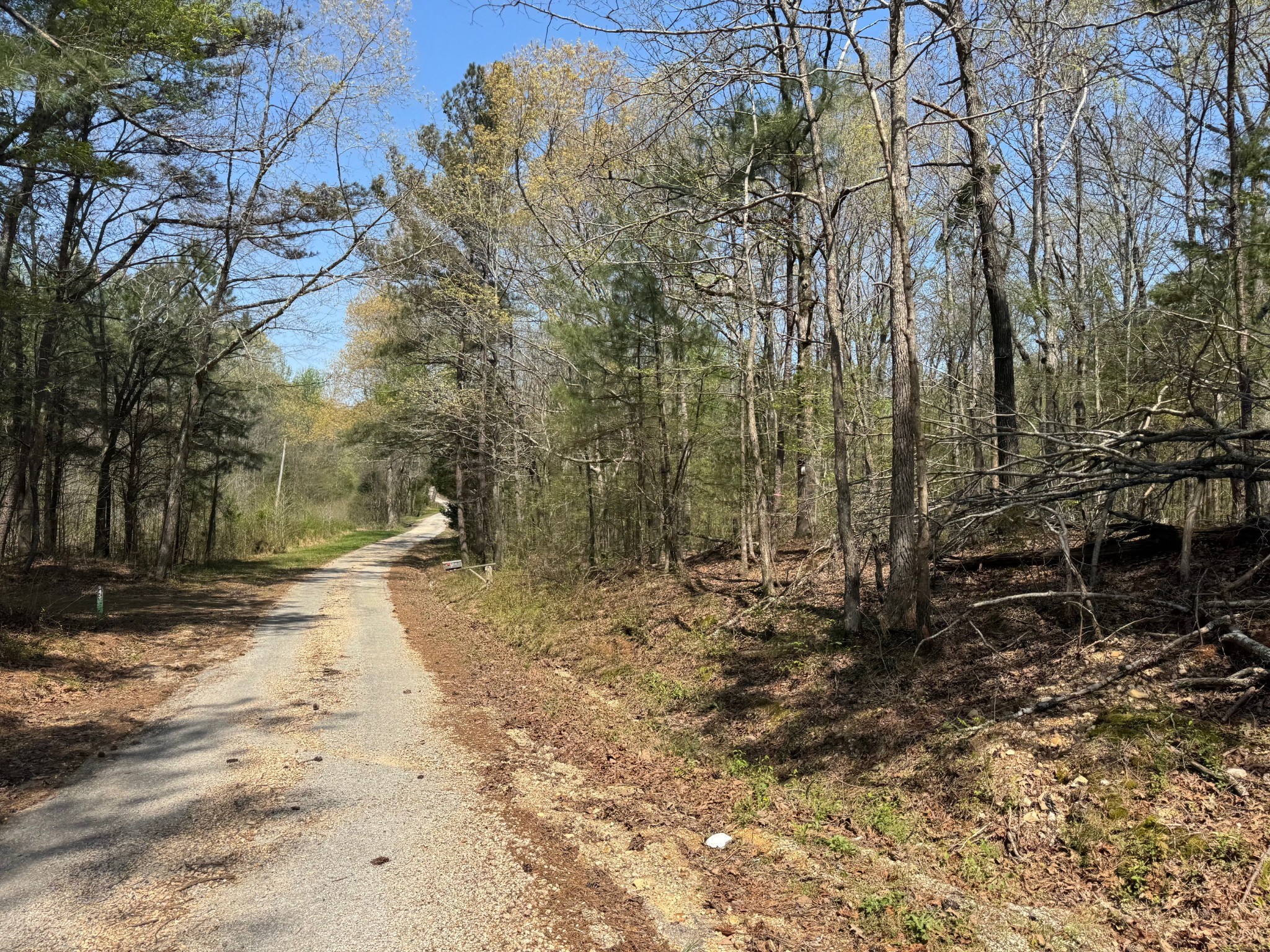 0 Sandys Camp Road Big Sandy, TN 38221 - Photo 6 of 59 a view of a yard with trees