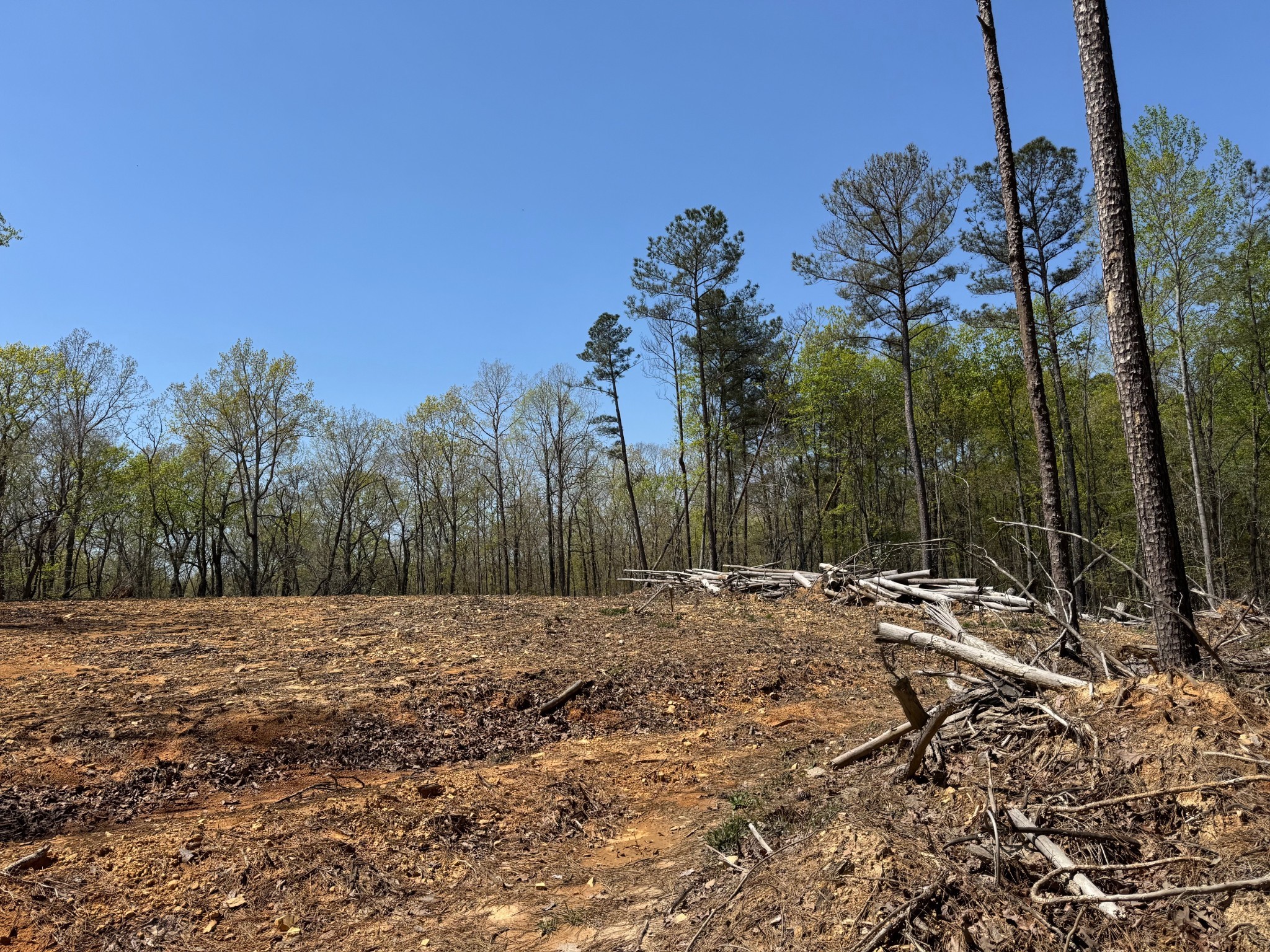 0 Sandys Camp Road Big Sandy, TN 38221 - Photo 9 of 59 a view of a yard with trees