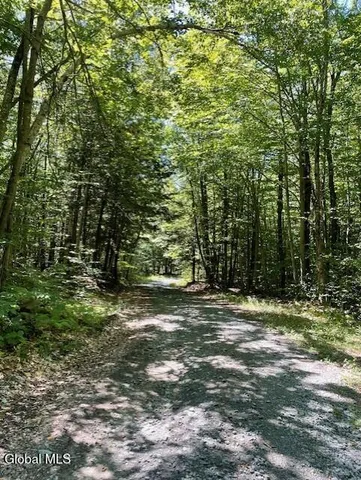 $200,000 | 11 Horse Hill Road, Northville, NY 12134