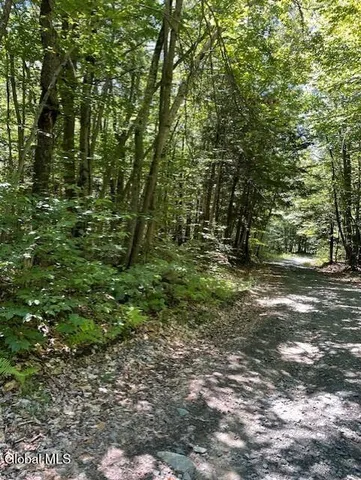 $200,000 | 11 Horse Hill Road, Northville, NY 12134