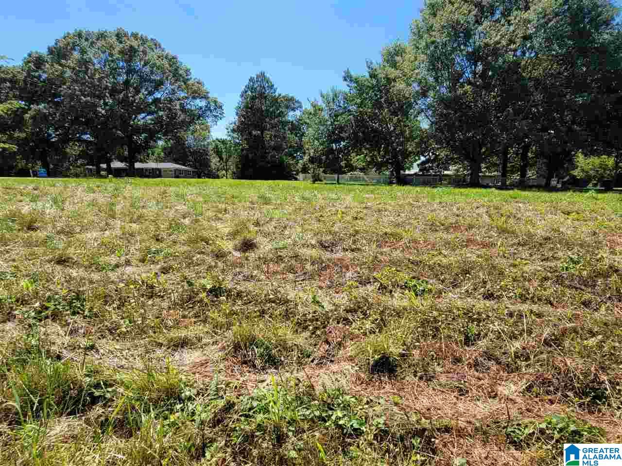 0 County Road 663 Ranburne, AL 36273 - Photo 4 of 5