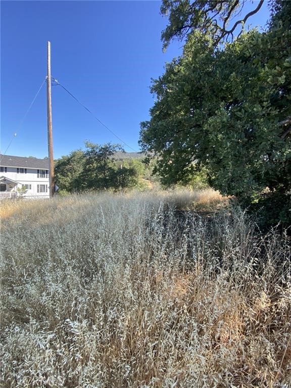 7140 Morton Street Nice, CA 95464 - Photo 5 of 8 a view of a dry yard with a tree