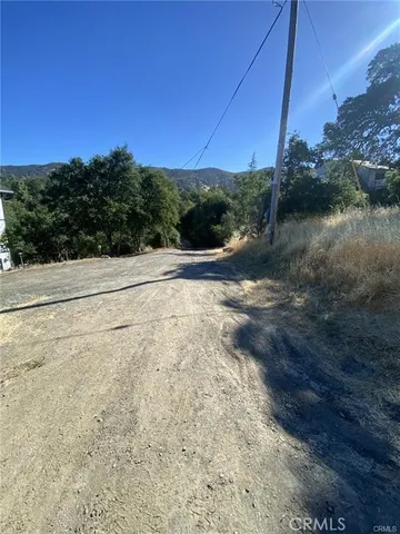 a view of a yard with plants and a lake view