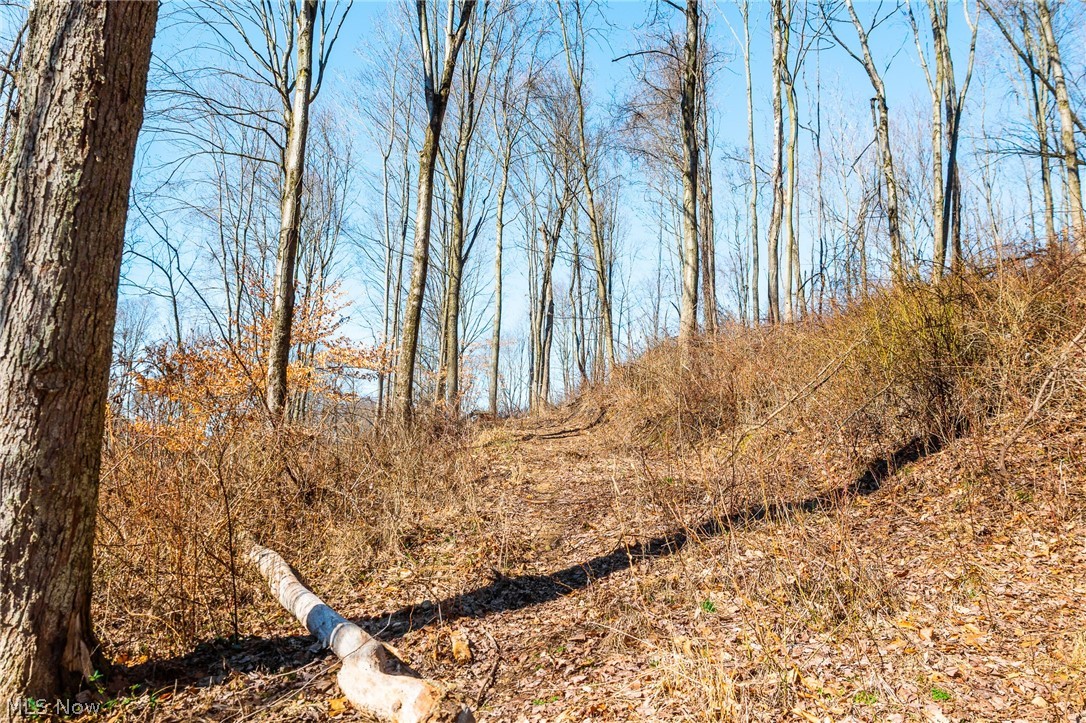 2535 Millersburg Road Wooster, OH 44691 - Photo 20 of 46 View of undeveloped land