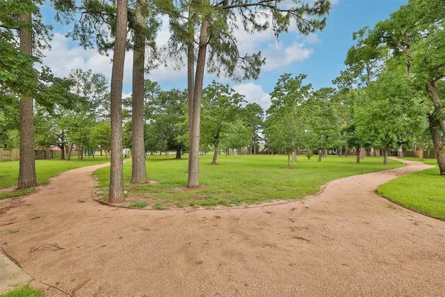 a view of a park with tree s