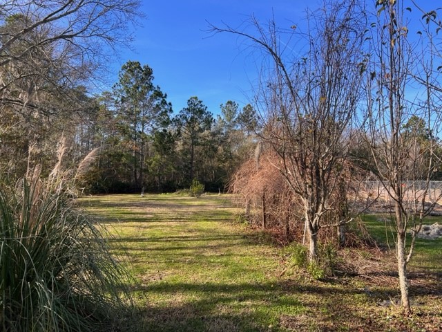 96735 Blackrock Road Yulee, FL 32097 - Photo 9 of 46 a view of a yard with an trees