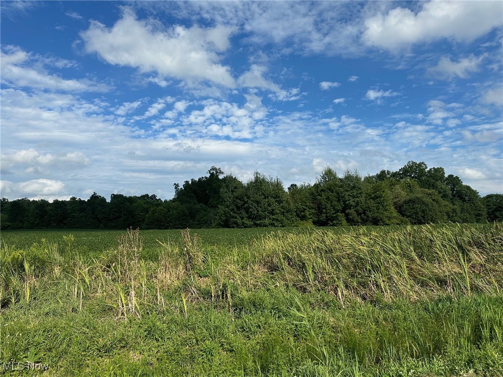 View of landscape