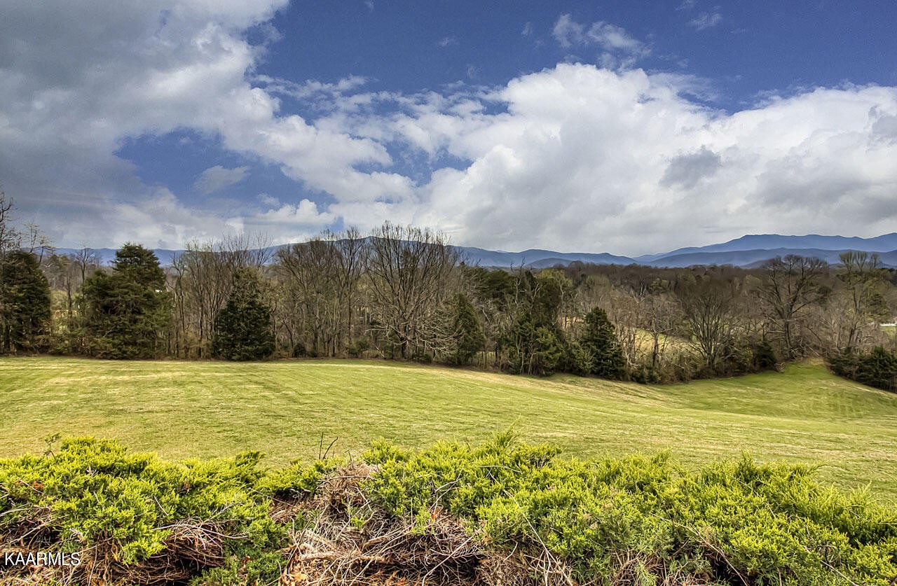 861 English Mountain Road Cosby, TN 37722 - Photo 53 of 60