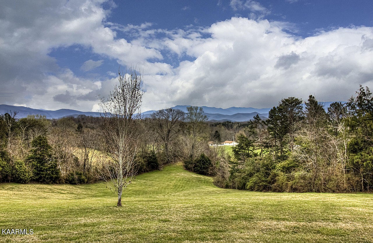 861 English Mountain Road Cosby, TN 37722 - Photo 54 of 60