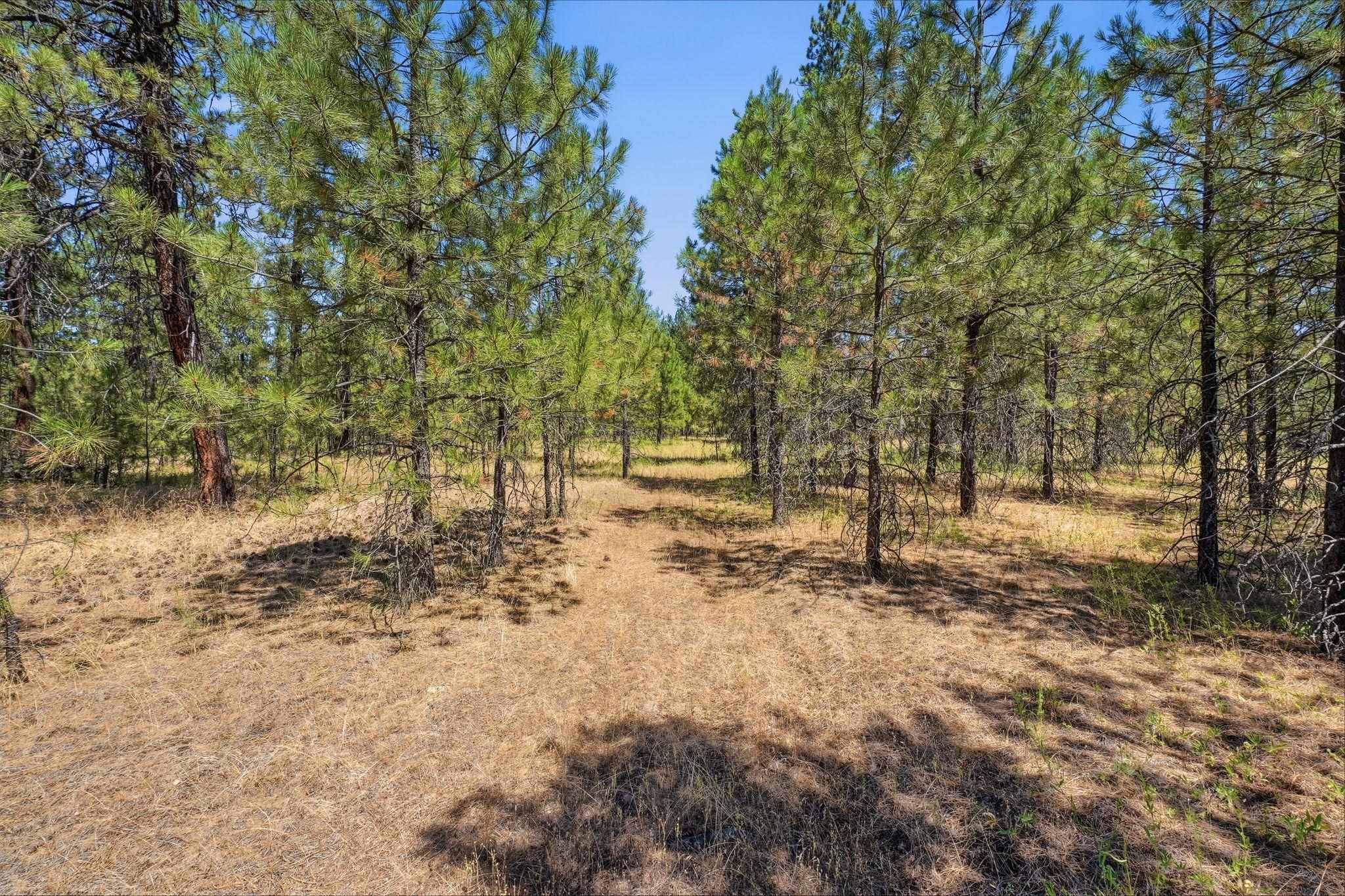 0 East Owens Road Chattaroy, WA 99003 - Photo 8 of 17