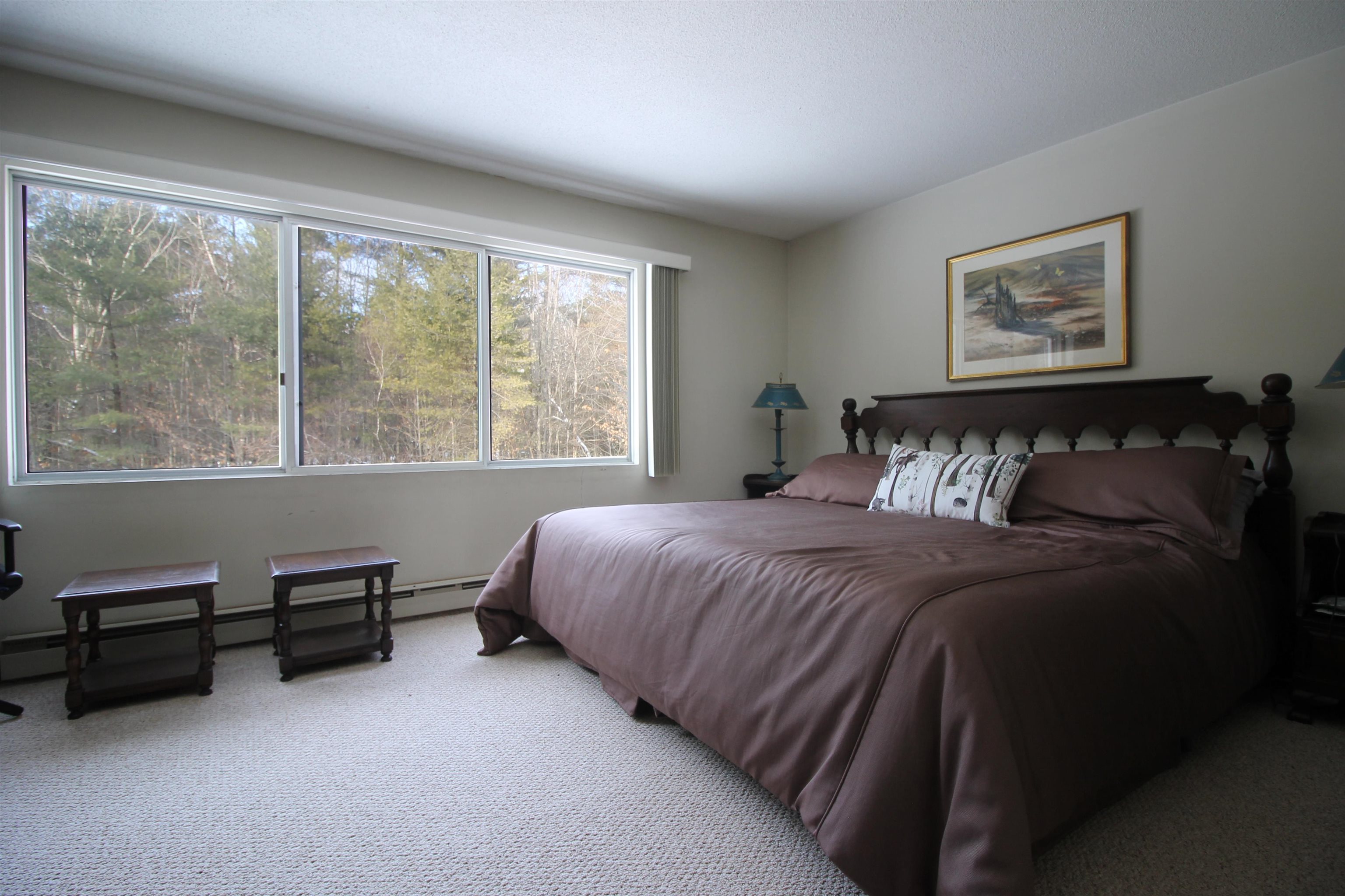 869 Upper Mad River Road, Unit 5 Thornton, NH 03285 - Photo 4 of 23