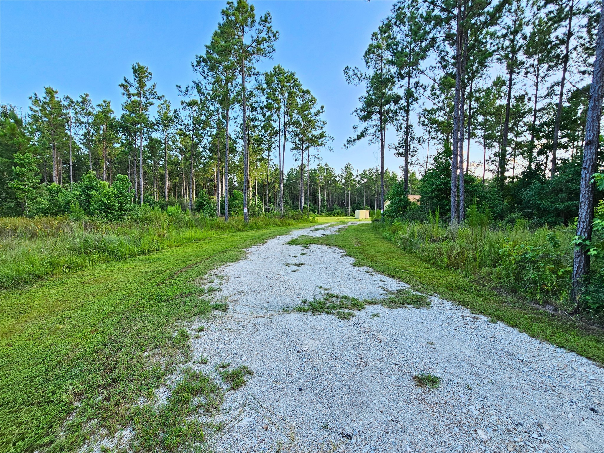 769 Tullos Loop Livingston, TX 77351 - Photo 16 of 23 a view of a park