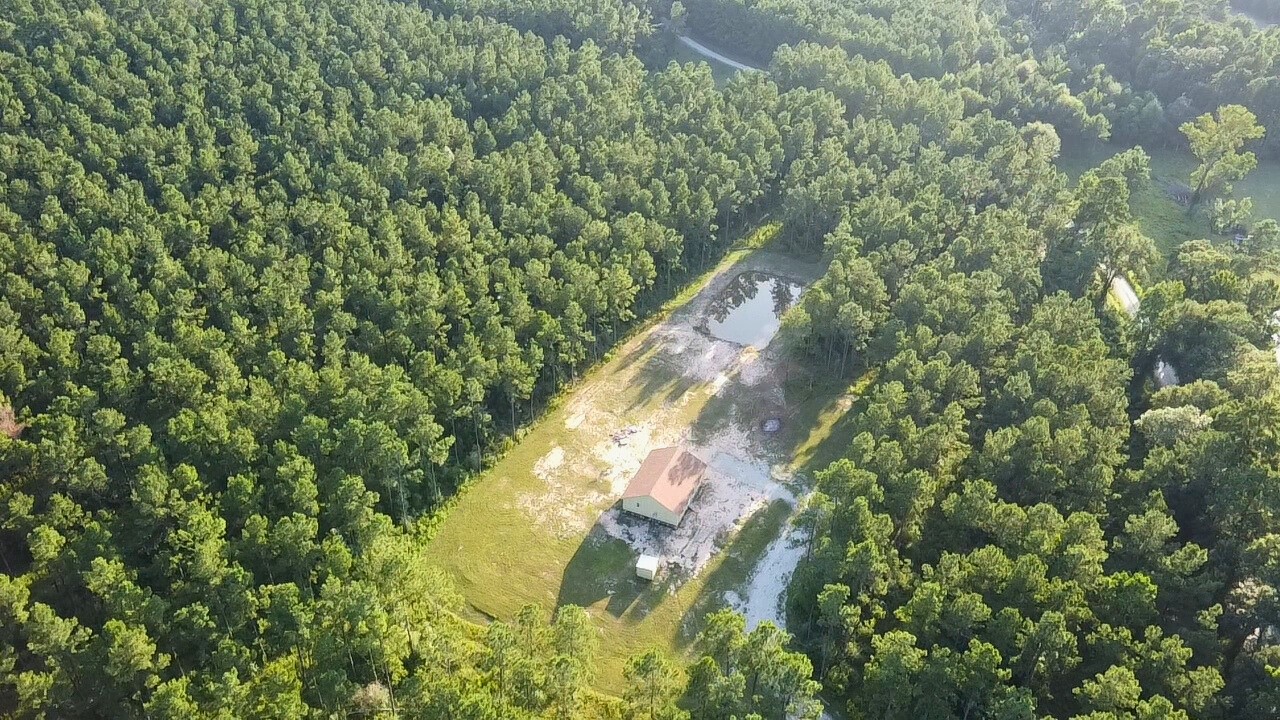 769 Tullos Loop Livingston, TX 77351 - Photo 17 of 23 a view of a yard with plants and tree