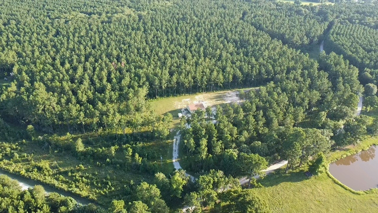 769 Tullos Loop Livingston, TX 77351 - Photo 20 of 23 a view of a garden