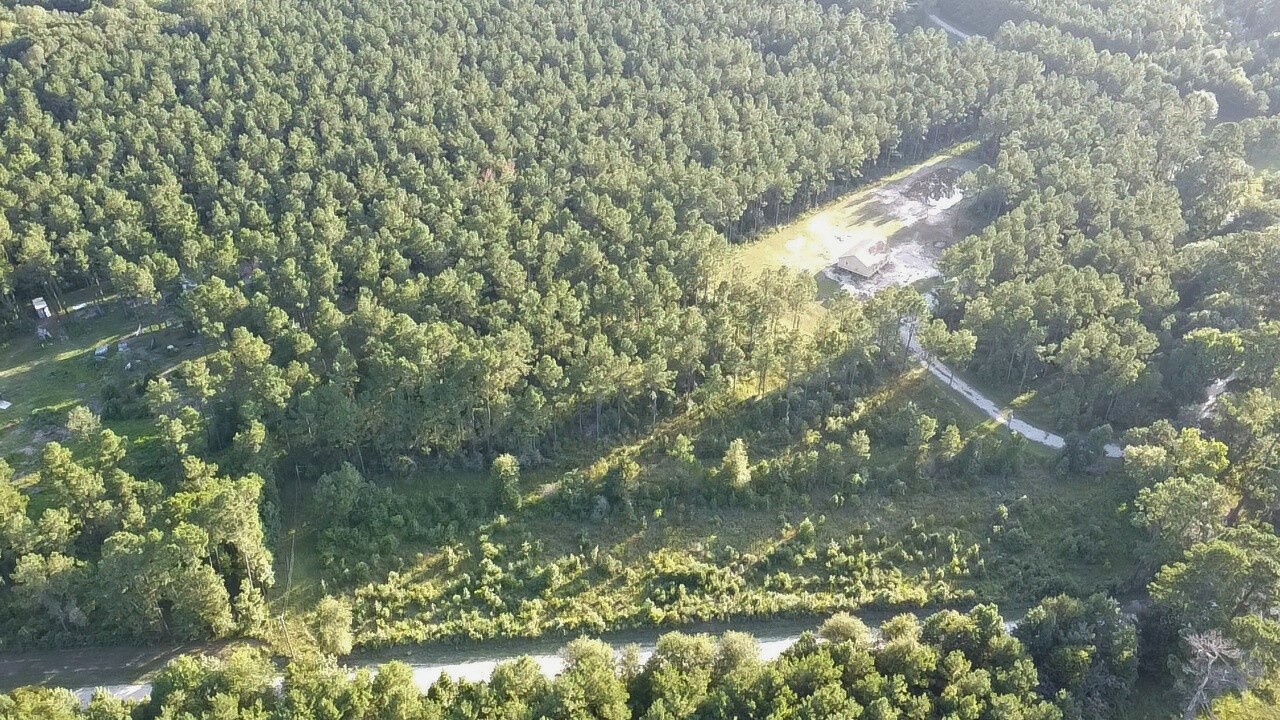 769 Tullos Loop Livingston, TX 77351 - Photo 21 of 23 a backyard of a house