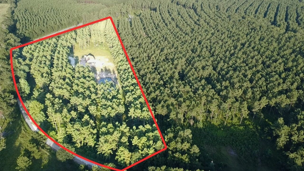 769 Tullos Loop Livingston, TX 77351 - Photo 23 of 23 a view of a small garden