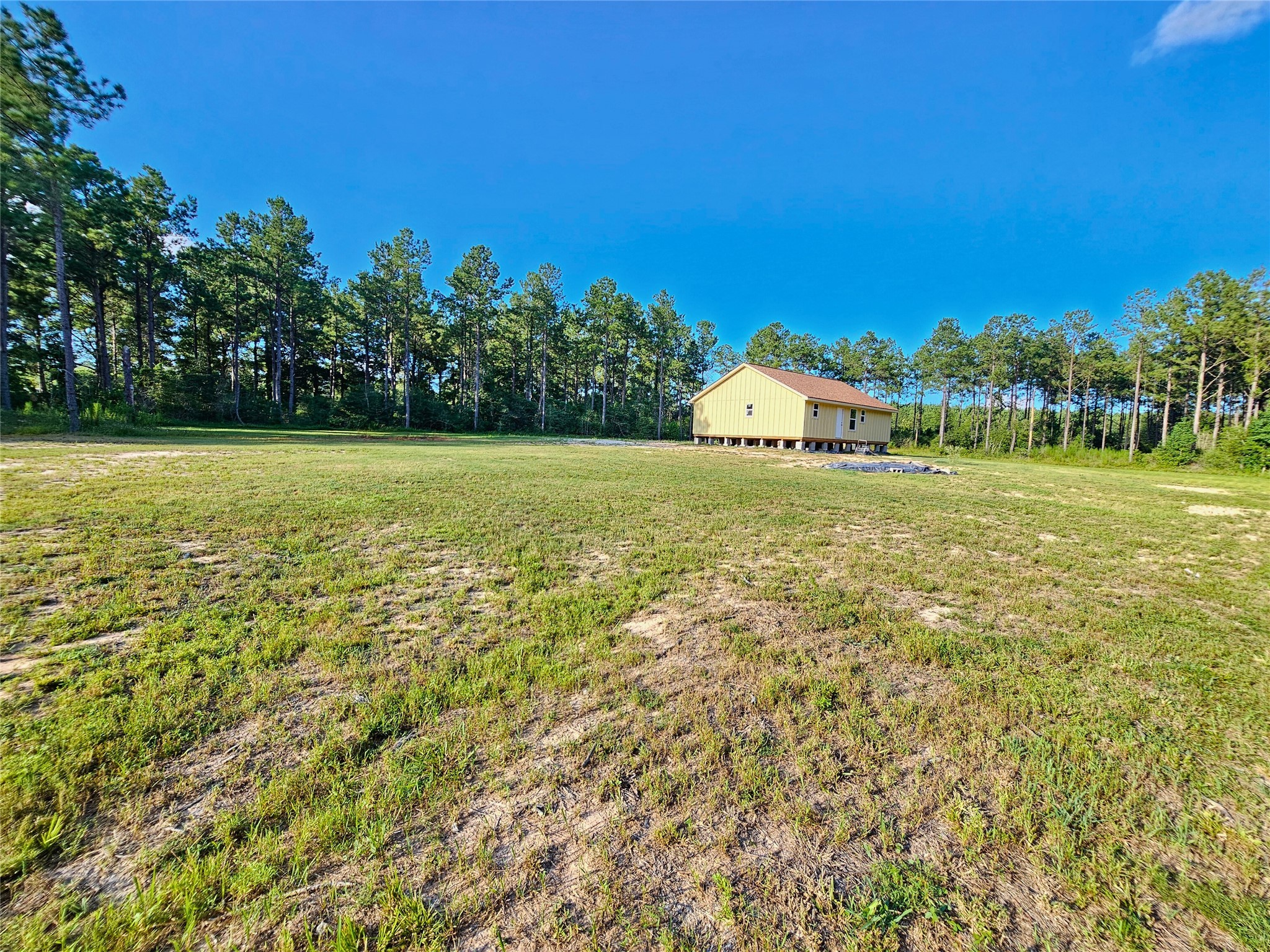 769 Tullos Loop Livingston, TX 77351 - Photo 6 of 23 a view of a big yard with a building in the background